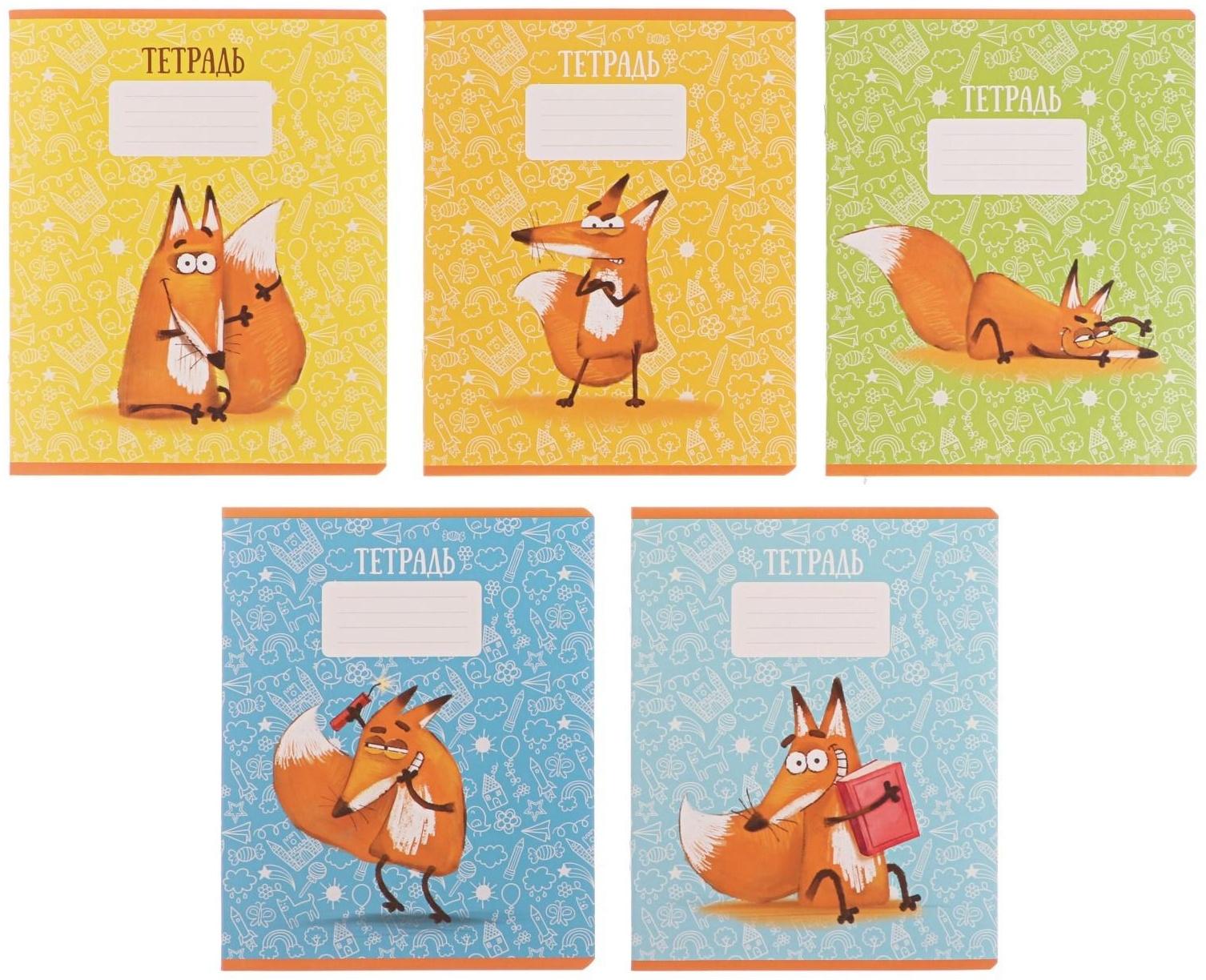 Тетрадь 24 листа в клетку Calligrata 