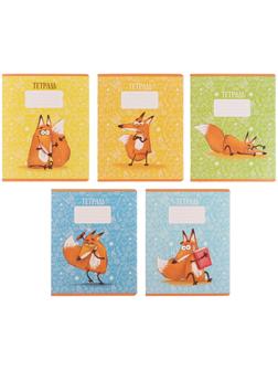 Тетрадь 24 листа в клетку Calligrata 