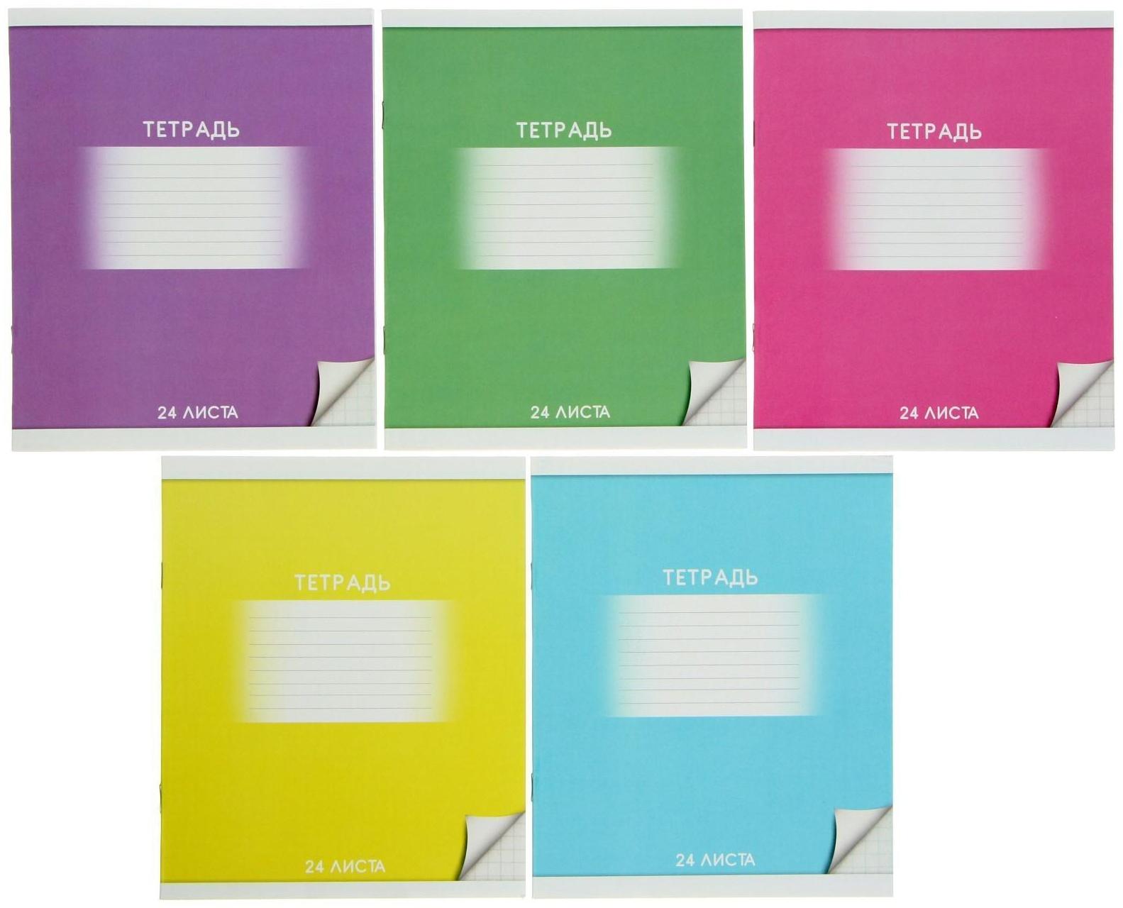 Тетрадь 24 листа в клетку Calligrata 