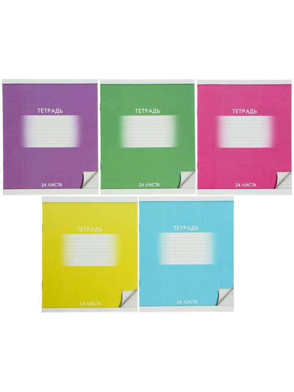 Тетрадь 24 листа в клетку Calligrata 