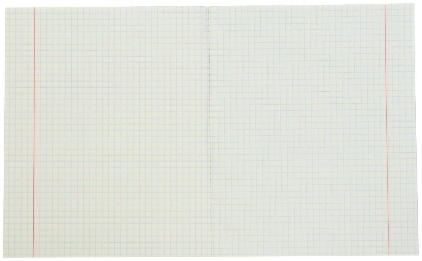 Тетрадь 24 листа в клетку Calligrata 