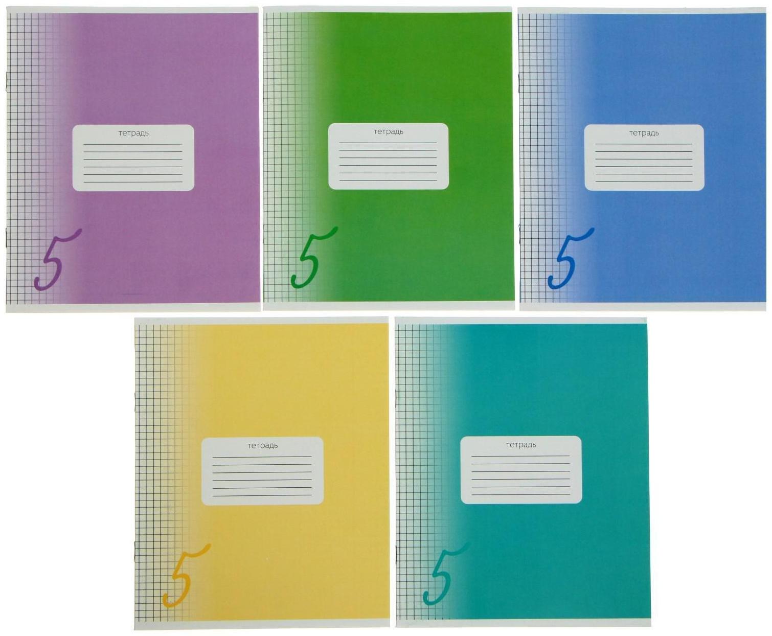 Тетрадь 24 листа в клетку Calligrata 