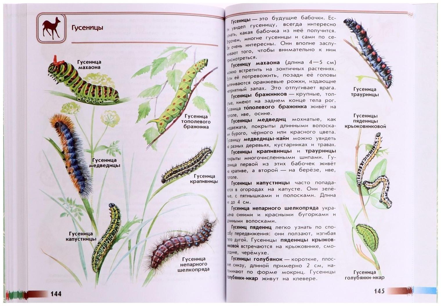Учебное пособие. ФГОС. Атлас-определитель. От земли до неба, новое оформление. Плешаков А. А.