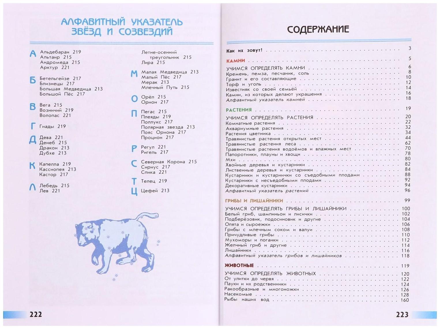 Учебное пособие. ФГОС. Атлас-определитель. От земли до неба, новое оформление. Плешаков А. А.