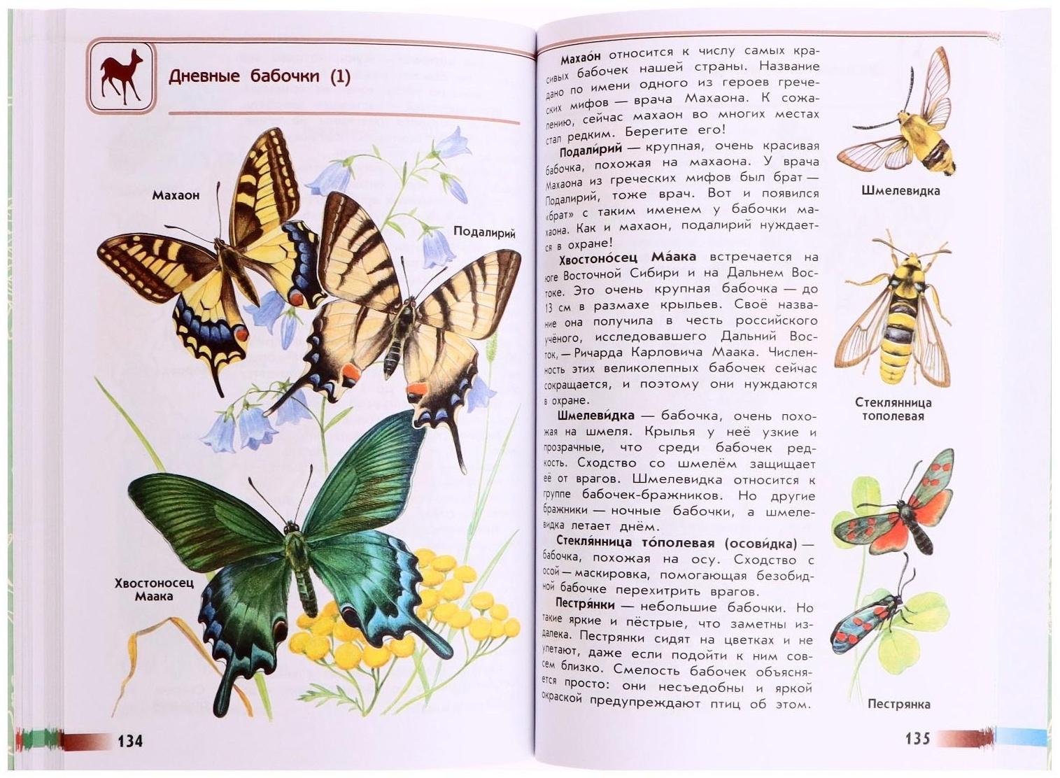 Учебное пособие. ФГОС. Атлас-определитель. От земли до неба, новое оформление. Плешаков А. А.