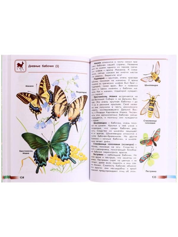 Учебное пособие. ФГОС. Атлас-определитель. От земли до неба, новое оформление. Плешаков А. А.