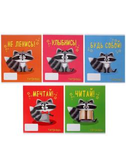 Тетрадь 24 листа в линию Calligrata 