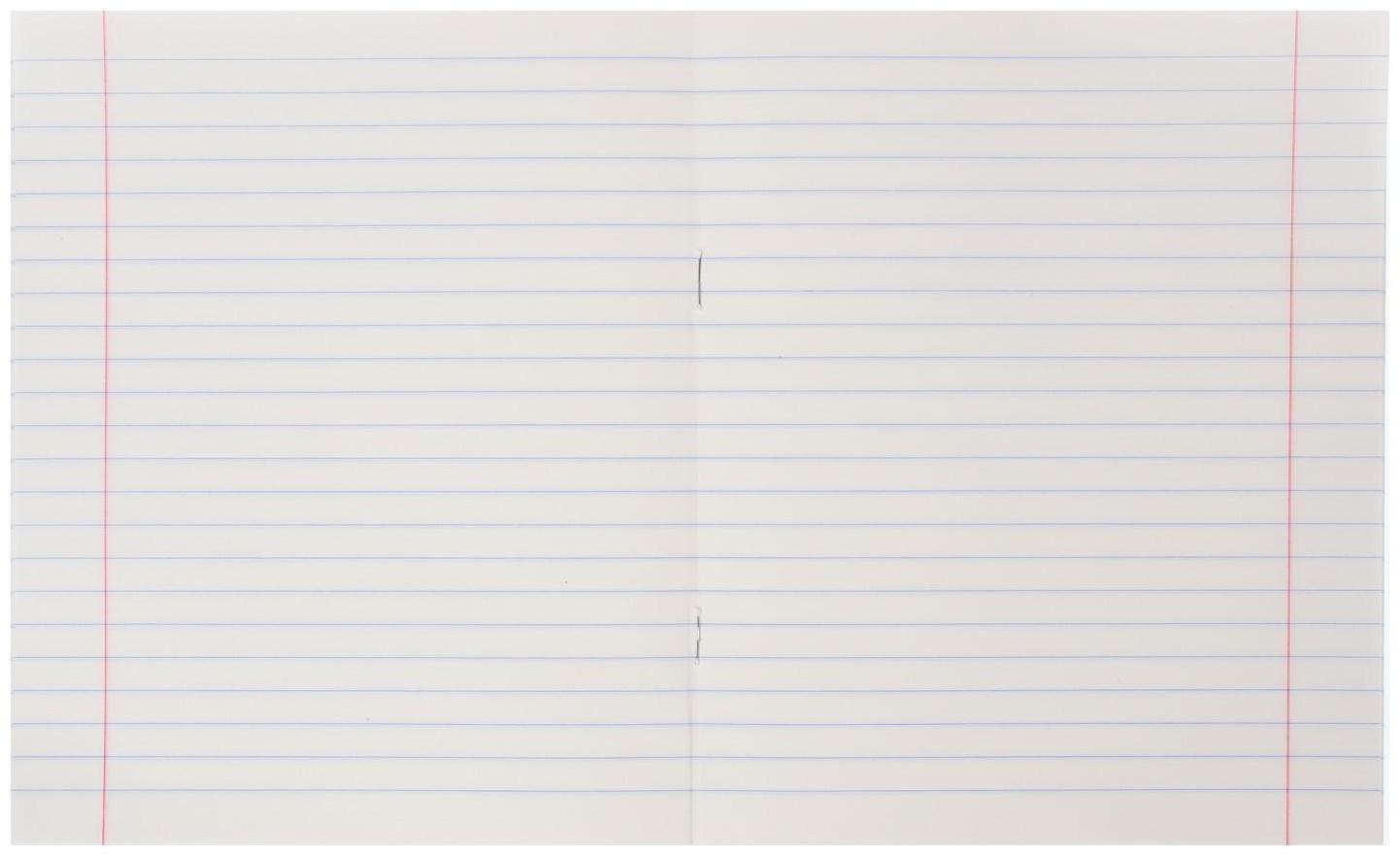 Тетрадь 24 листа в линию Calligrata 