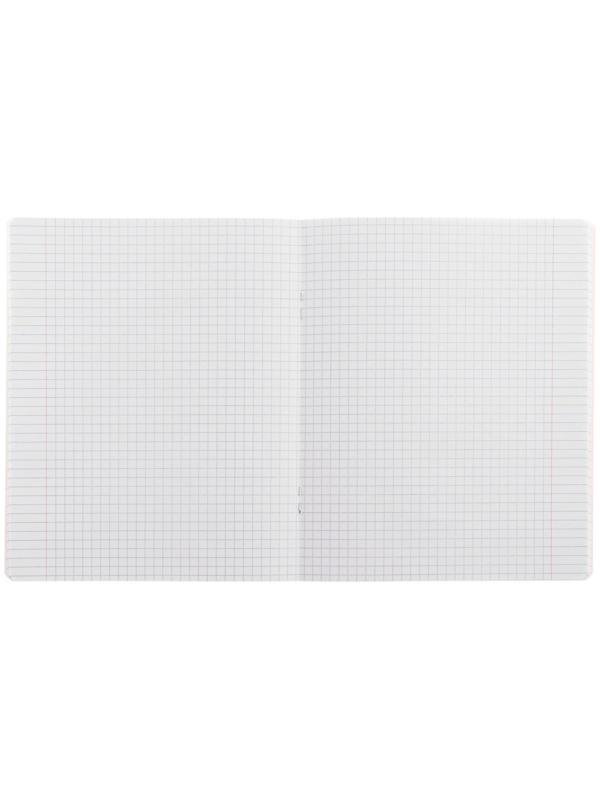 Тетрадь 24 листа в линию Calligrata 