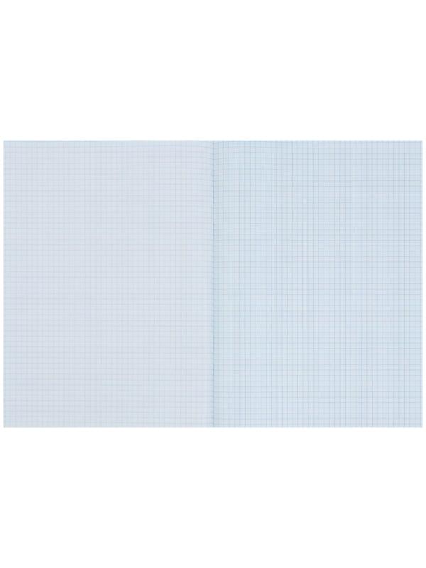 Тетрадь А4, 48 листов в клетку Calligrata 