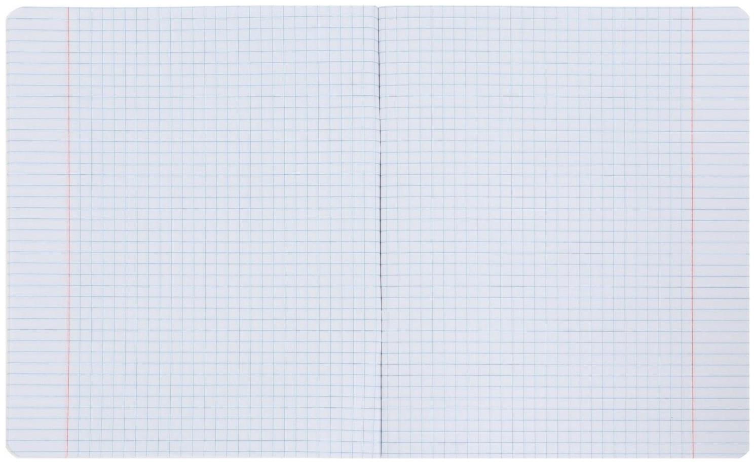 Тетрадь 48 листов, в клетку, Lucky girls, обложка мелованный картон, выборочно лак, блок 65г/м² / Микс 1 шт.