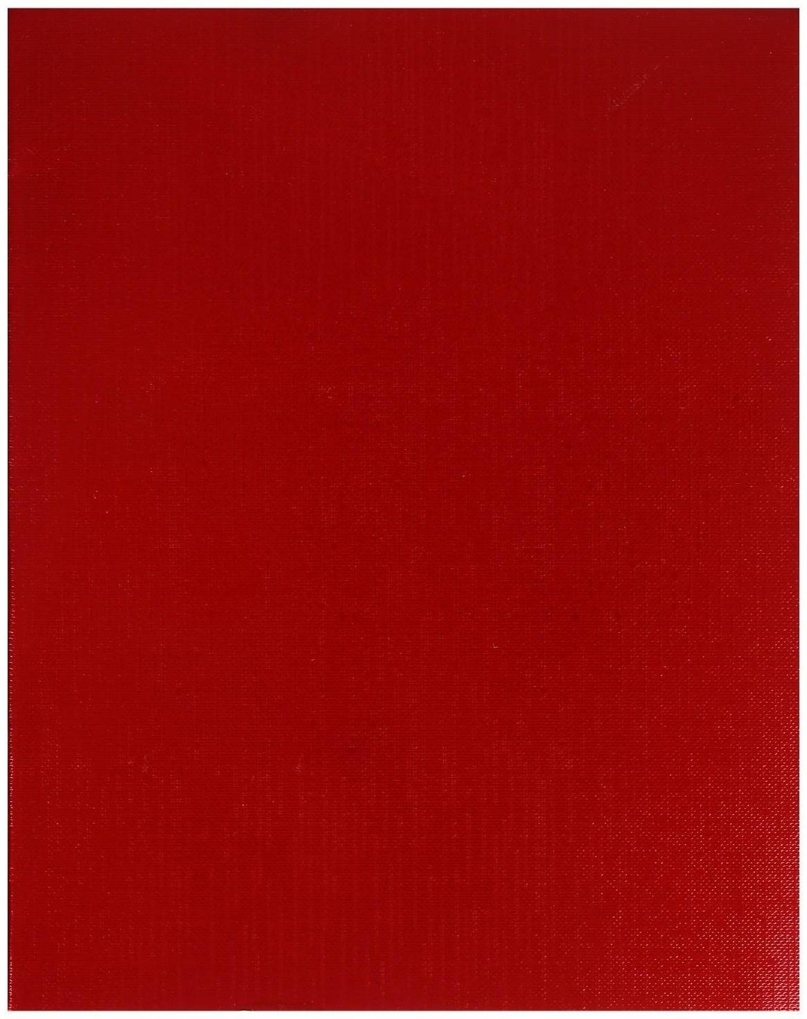 Тетрадь 48 листов в клетку на скрепке METALLIC 