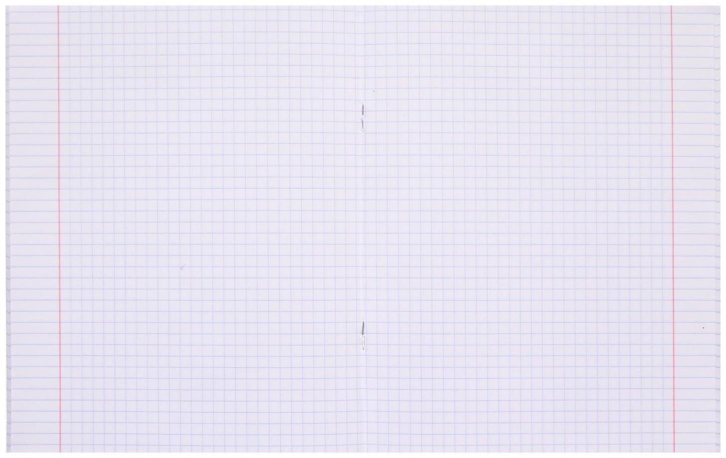 Тетрадь 48 листов в клетку на скрепке METALLIC 