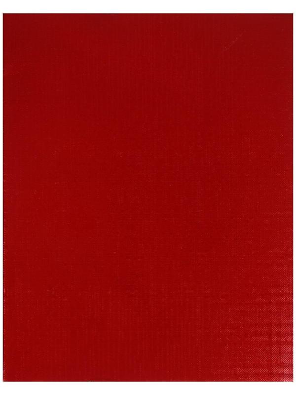 Тетрадь 48 листов в клетку на скрепке METALLIC 