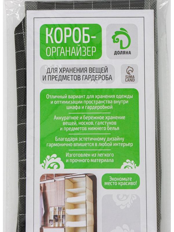 Органайзер для хранения белья Доляна «Кло», 8 отделений, 28×14×10 см, цвет чёрный