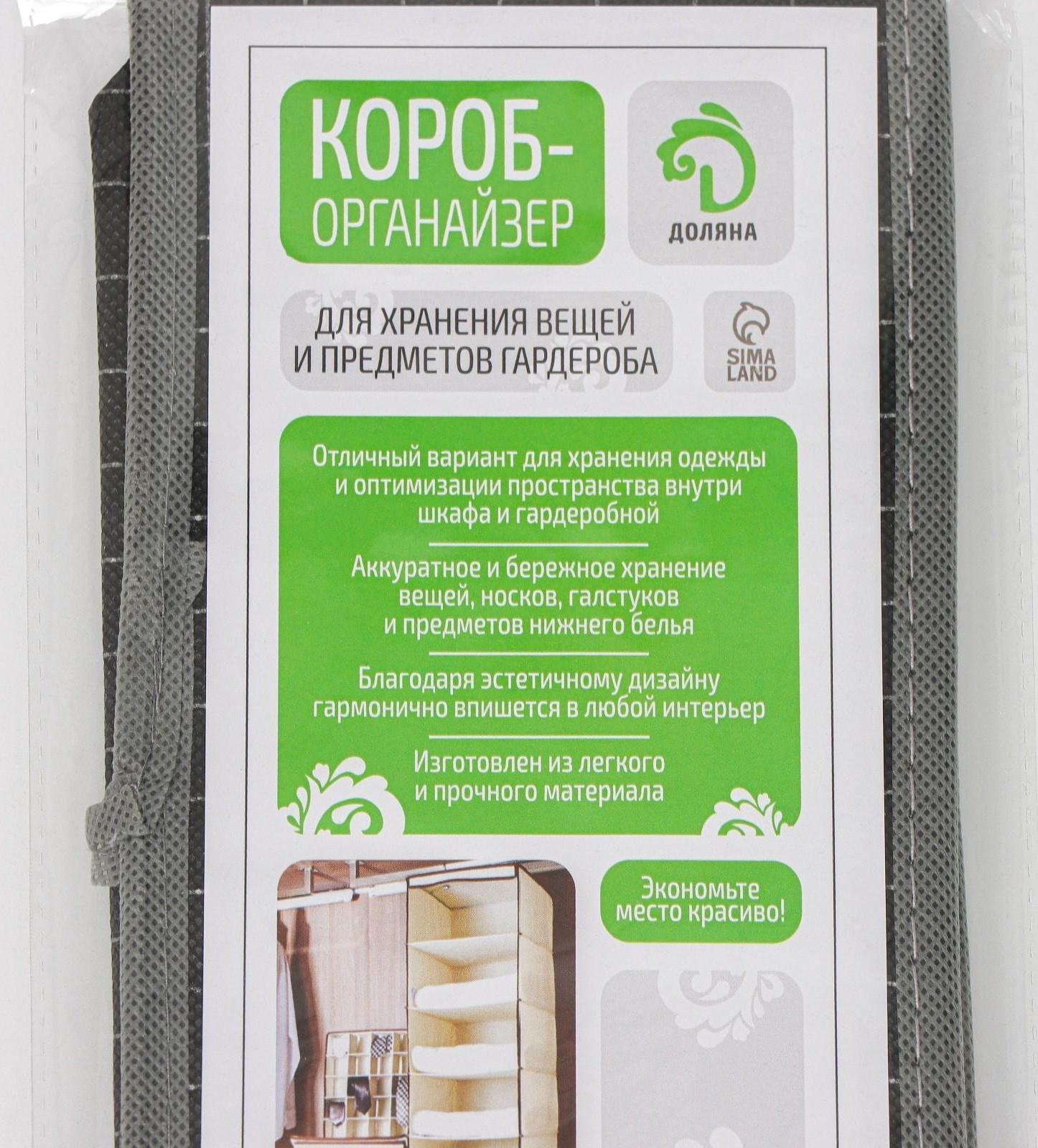 Органайзер для хранения белья Доляна «Кло», 12 отделений, 32×24×12 см, цвет чёрный