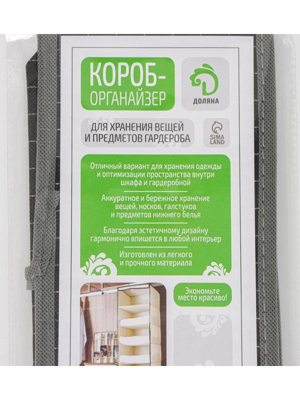 Органайзер для хранения белья Доляна «Кло», 12 отделений, 32×24×12 см, цвет чёрный