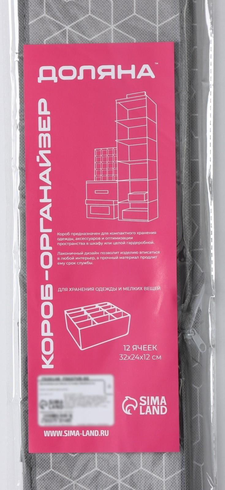 Органайзер для хранения белья Доляна «Фора», 12 отделений, 32×24×12 см, цвет серый