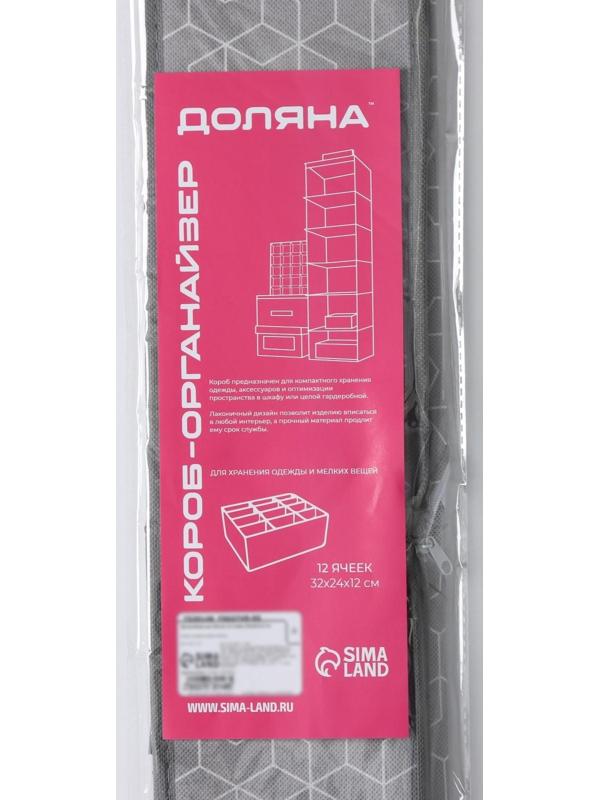 Органайзер для хранения белья Доляна «Фора», 12 отделений, 32×24×12 см, цвет серый