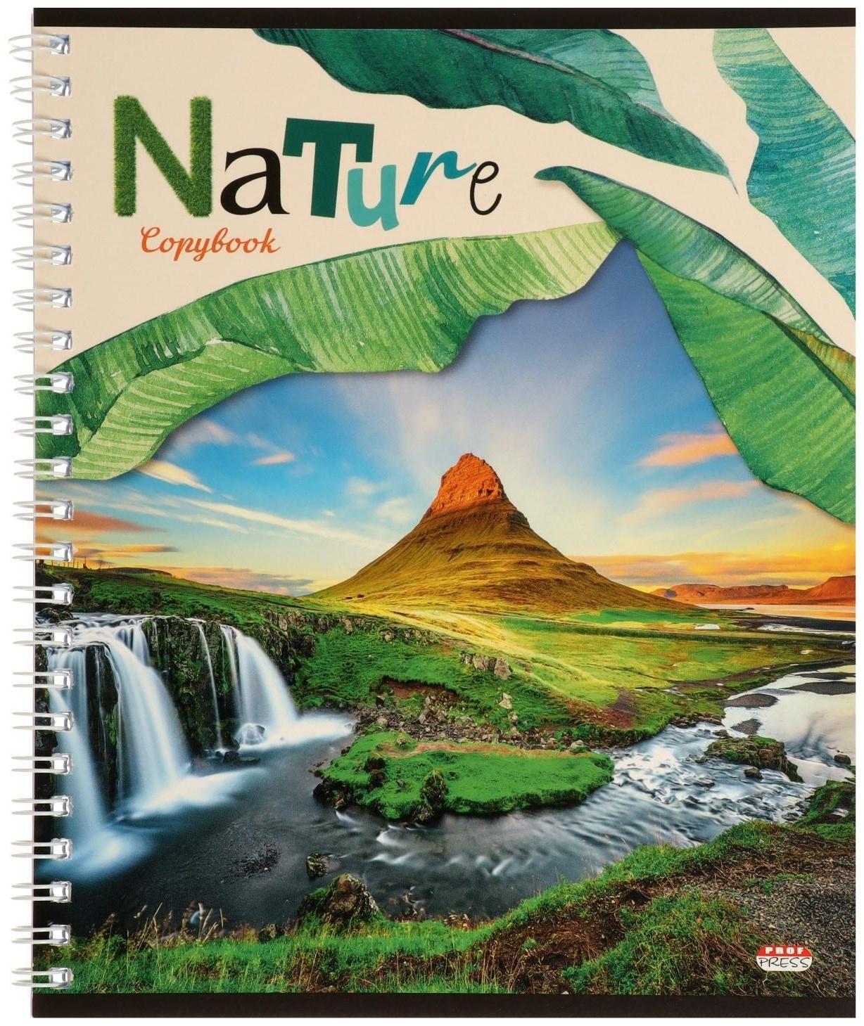 Тетрадь 60 листов в клетку на гребне 