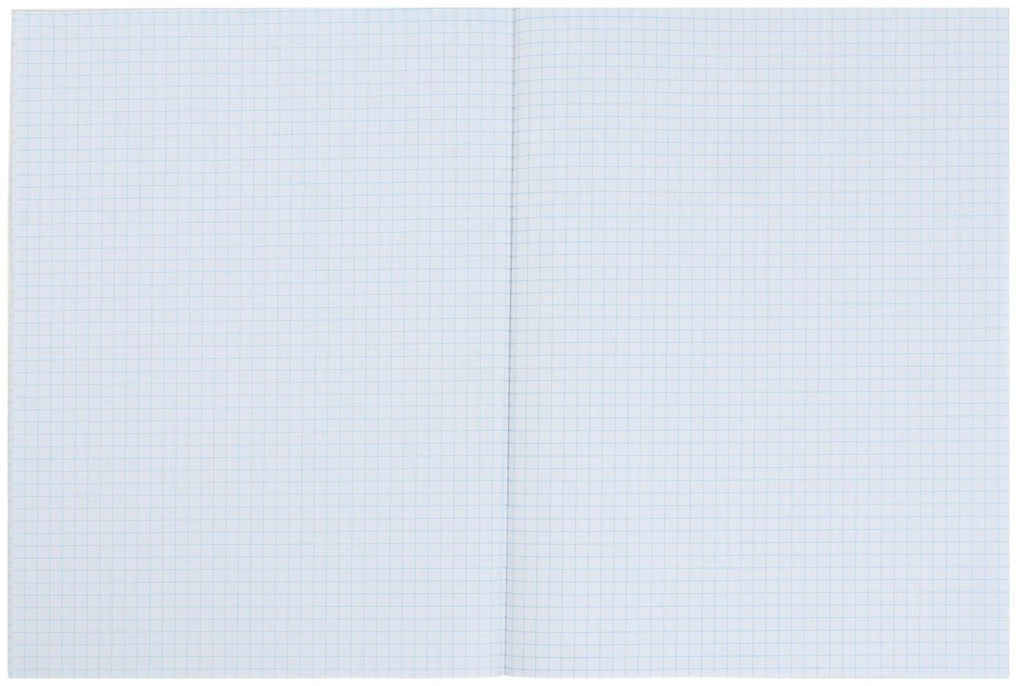 Тетрадь А4, 48 листов в клетку Calligrata Floristics, обложка мелованный картон, блок офсет / 1 шт.