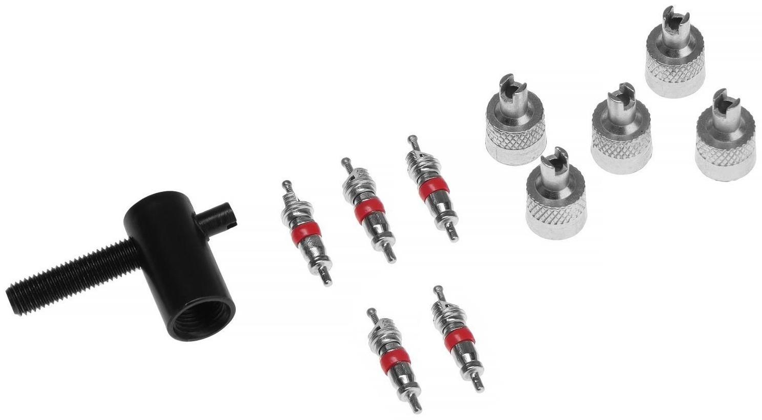 Набор автолюбителя №2, 5 колпачков, металл, 5 золотников коротких, ключ