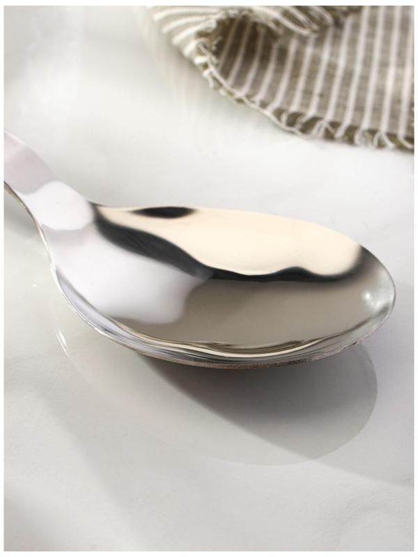 Ложка гарнирная из нержавеющей стали Доляна Home, 29×8 см, толщина 3 мм