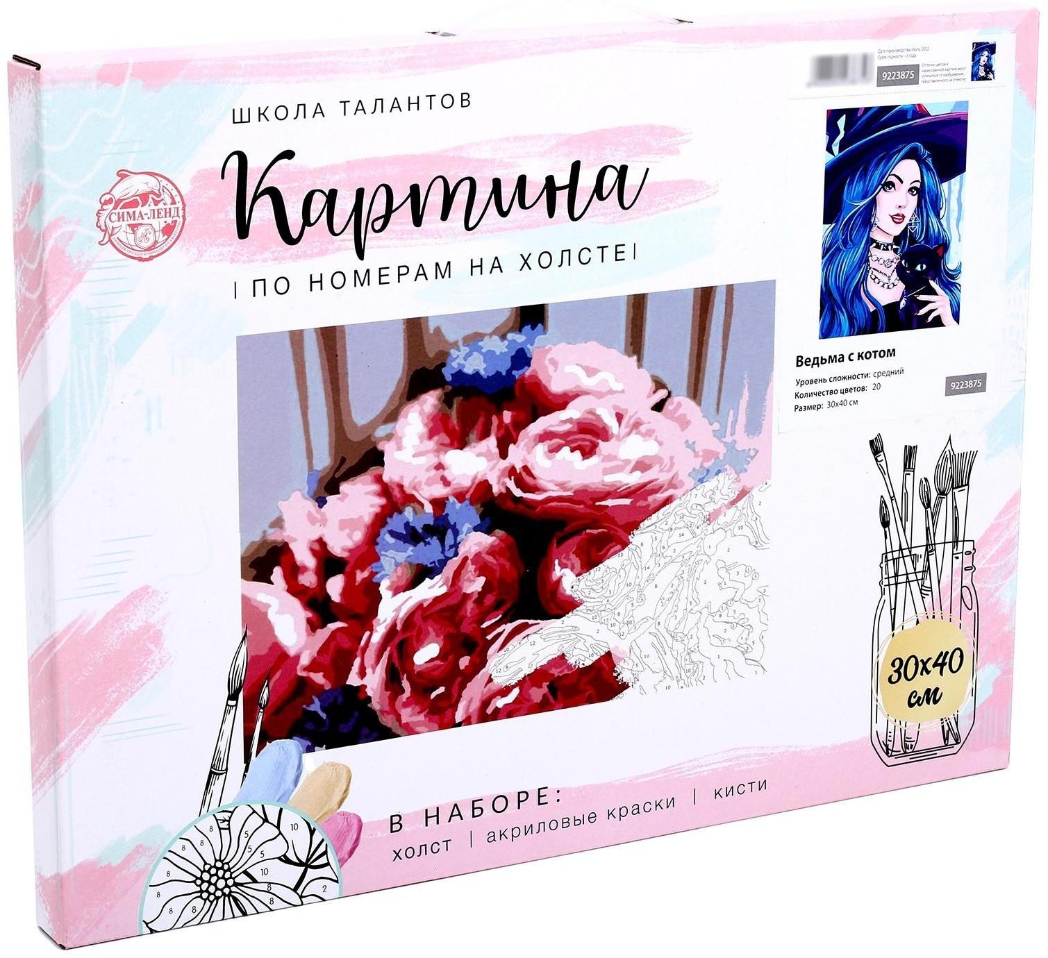 Картина по номерам на холсте с подрамником «Ведьма с котом» 30х40 см