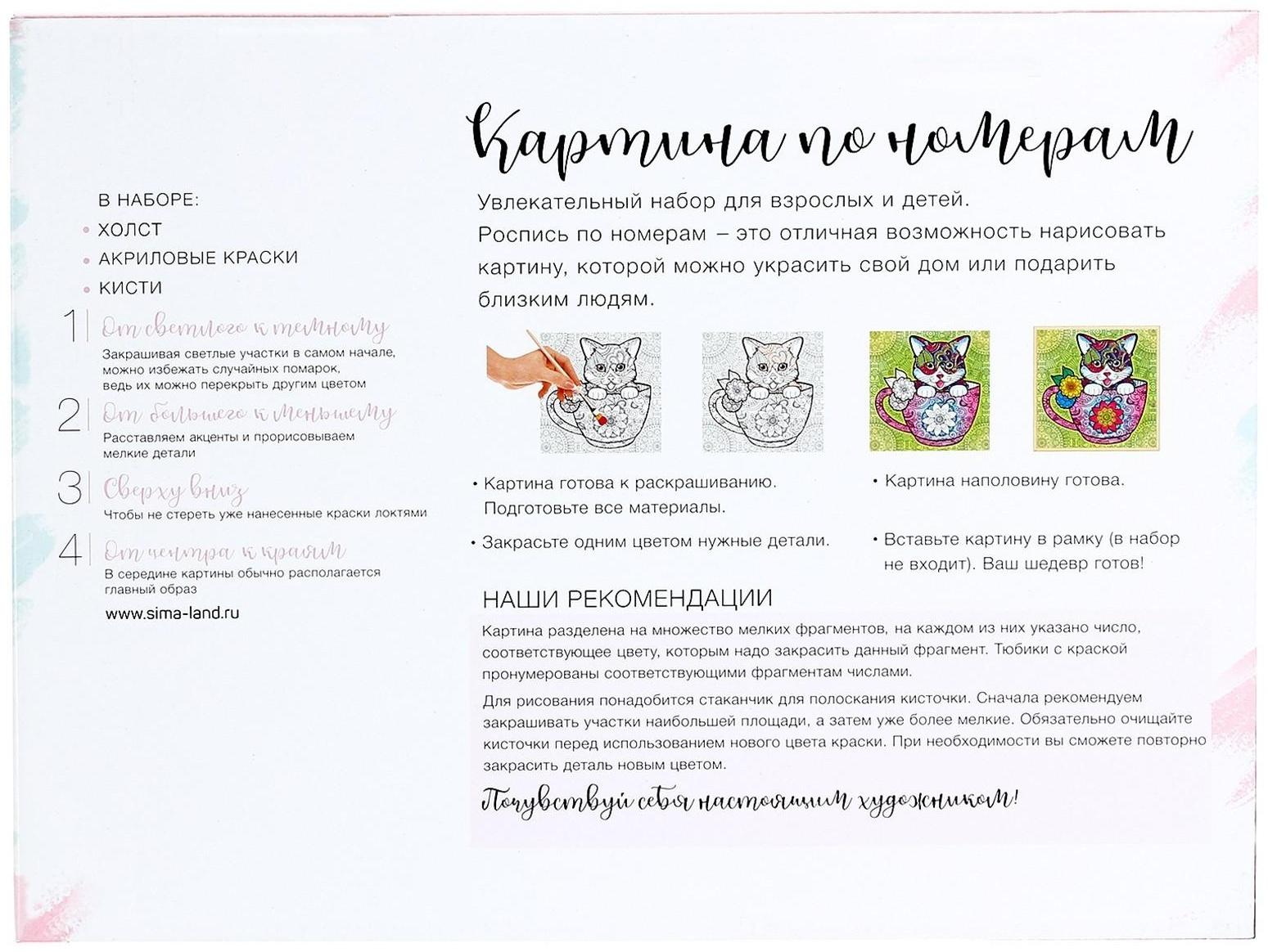 Картина по номерам на холсте с подрамником «Ведьма с котом» 30х40 см