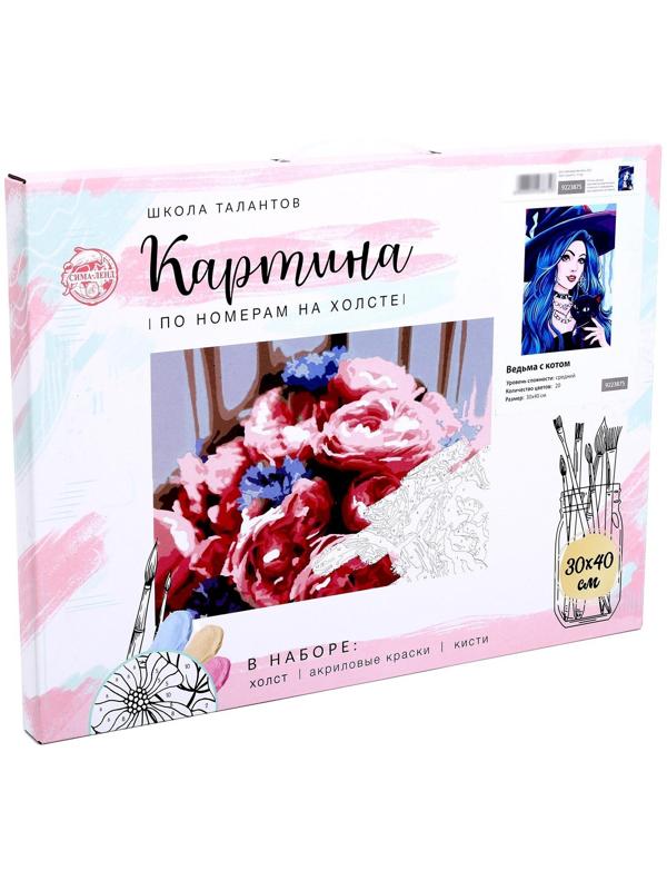 Картина по номерам на холсте с подрамником «Ведьма с котом» 30х40 см