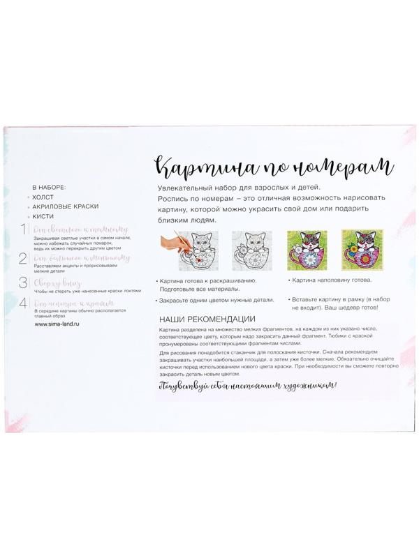 Картина по номерам на холсте с подрамником «Ведьма с котом» 30х40 см