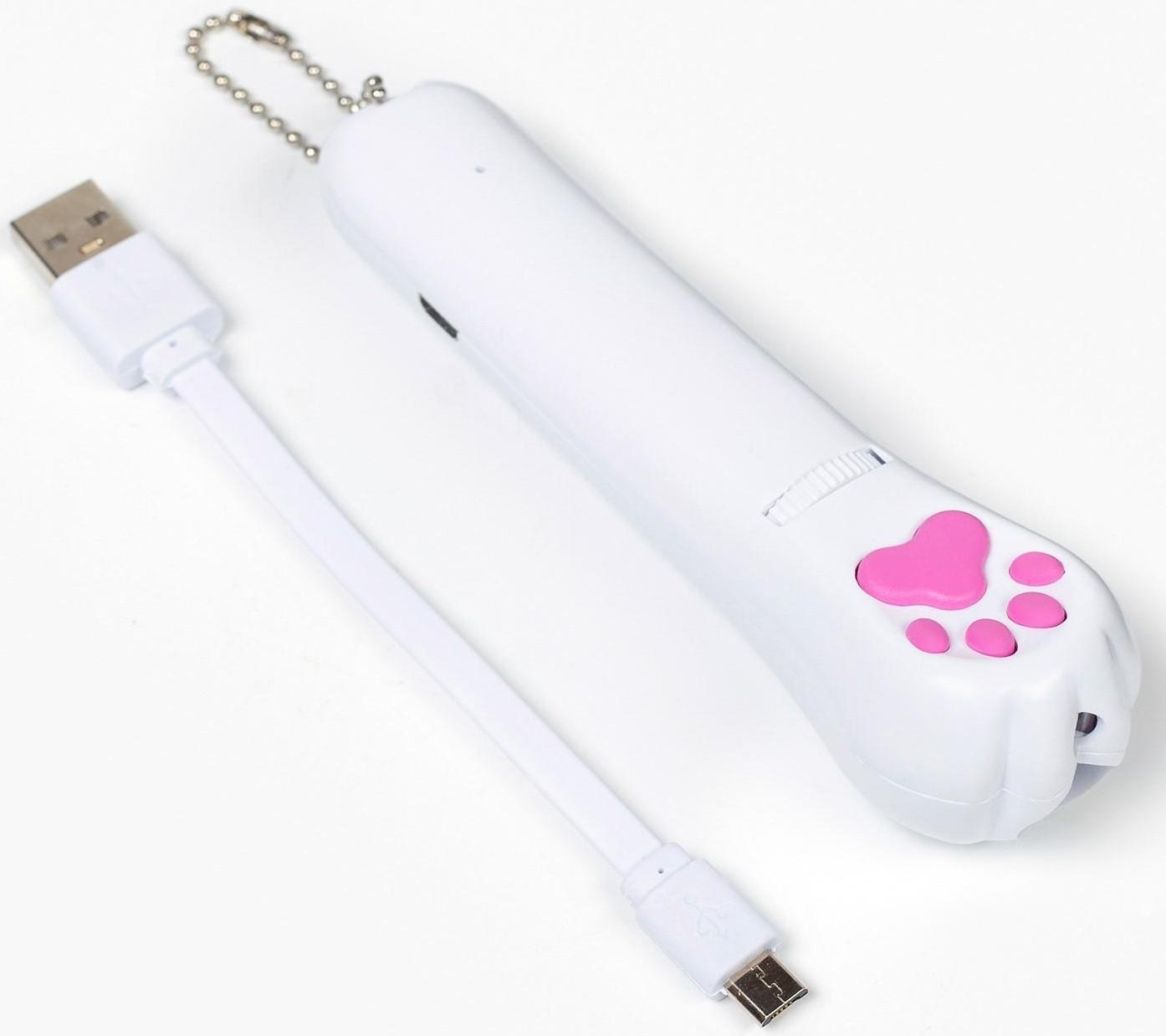 Лазерная указка для животных, 5 картинок, 100 мАч, дальность до 8 м, красный луч, USB