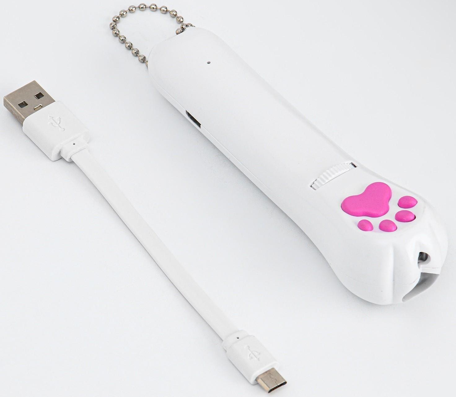 Лазерная указка для животных, 5 картинок, 100 мАч, дальность до 8 м, красный луч, USB