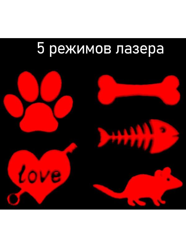 Лазерная указка для животных, 5 картинок, 100 мАч, дальность до 8 м, красный луч, USB