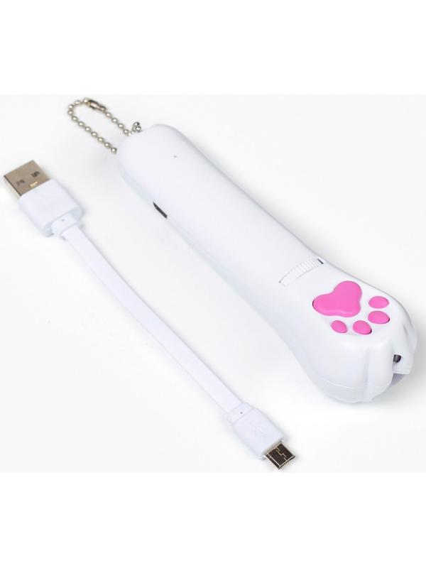 Лазерная указка для животных, 5 картинок, 100 мАч, дальность до 8 м, красный луч, USB