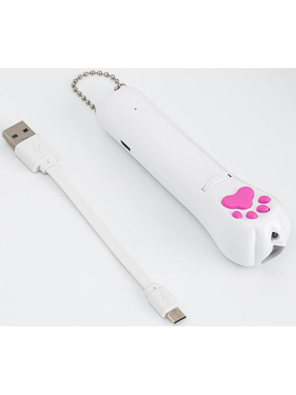 Лазерная указка для животных, 5 картинок, 100 мАч, дальность до 8 м, красный луч, USB