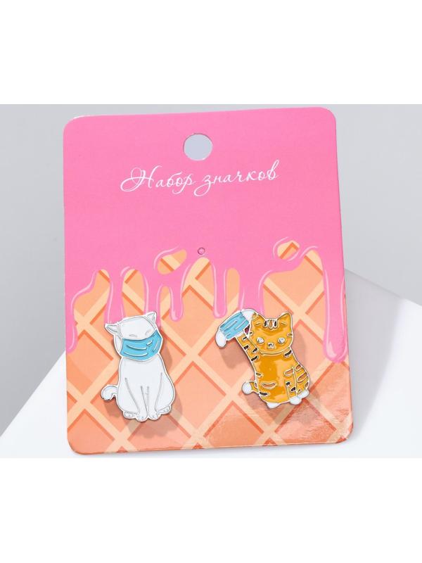 Набор значков (2шт) 