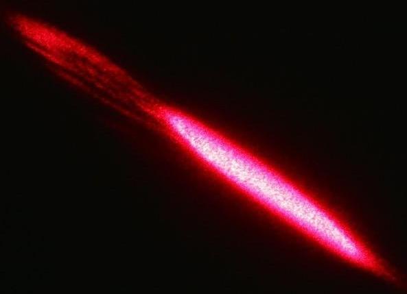 Лазерная указка 3 в 1, UV свет, 1200 мАч, 5 Вт, USB, красный луч, 200 м, 11.1 х 1.4 см