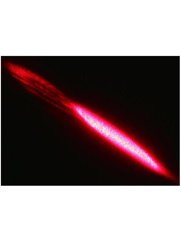 Лазерная указка 3 в 1, UV свет, 1200 мАч, 5 Вт, USB, красный луч, 200 м, 11.1 х 1.4 см