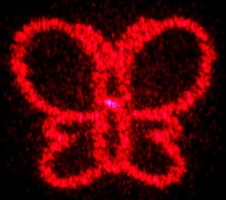 Лазерная указка, 5 видов луча, 3 LR44, красный луч, 6.8 х 1.3 см