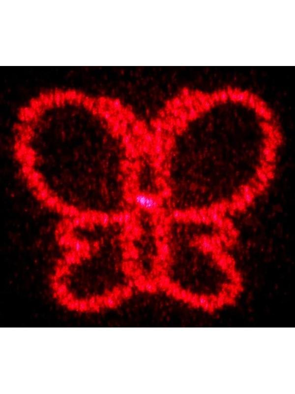 Лазерная указка, 5 видов луча, 3 LR44, красный луч, 6.8 х 1.3 см