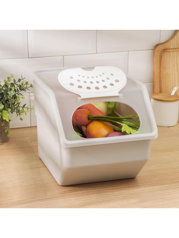 Контейнер для овощей RICCO, 11,2 л, 32,3×22×21,7 см, цвет бежевый