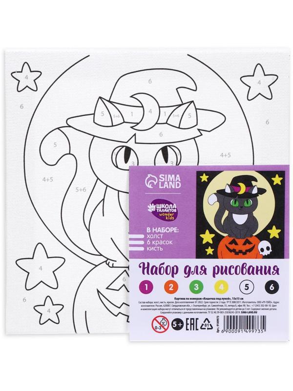 Картина по номерам «Кошечка под луной» 15х15 см