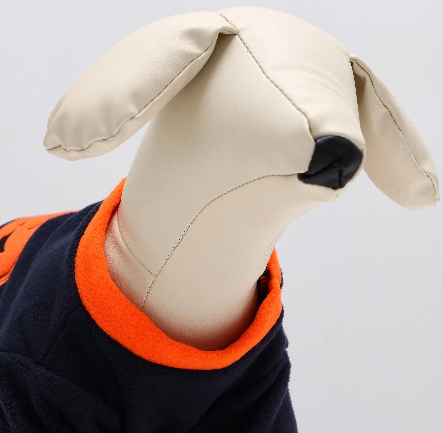 Толстовка для животных 