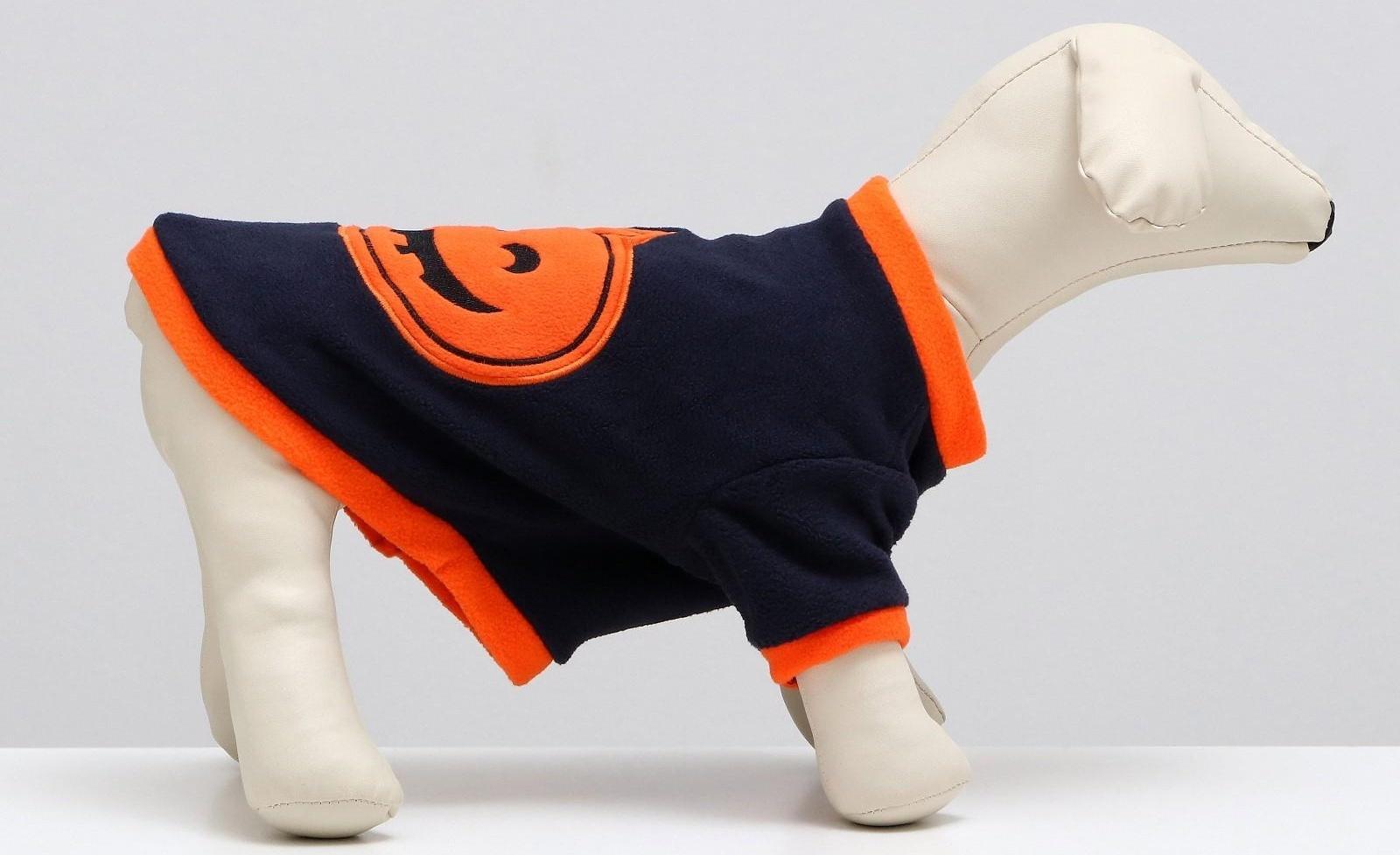 Толстовка для животных 