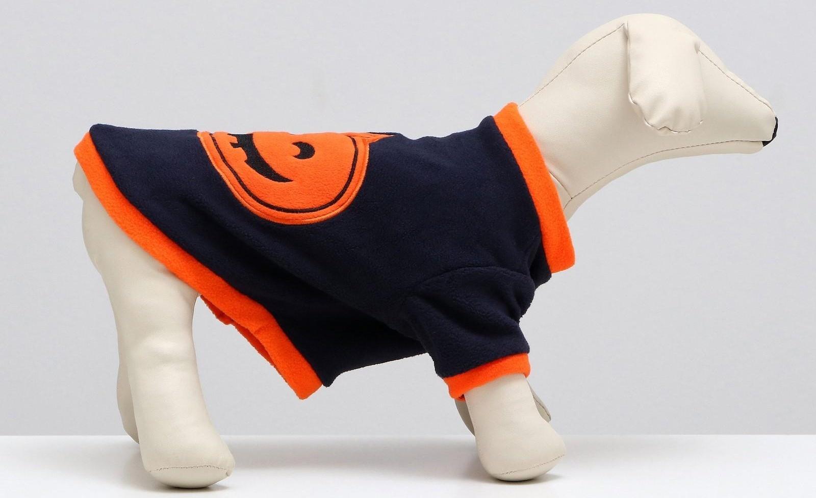 Толстовка для животных 