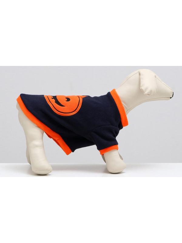 Толстовка для животных 