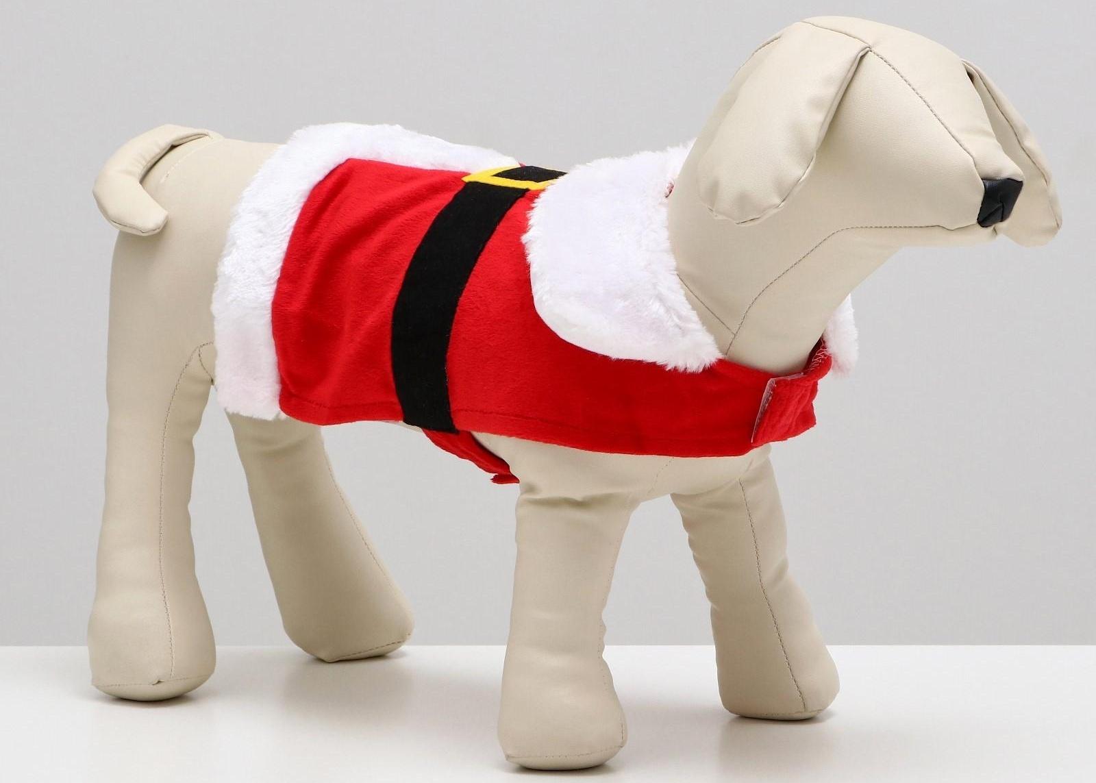 Новогодний костюм 