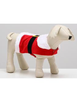 Новогодний костюм 