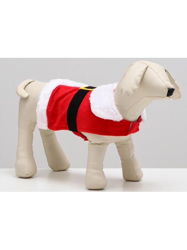 Новогодний костюм 